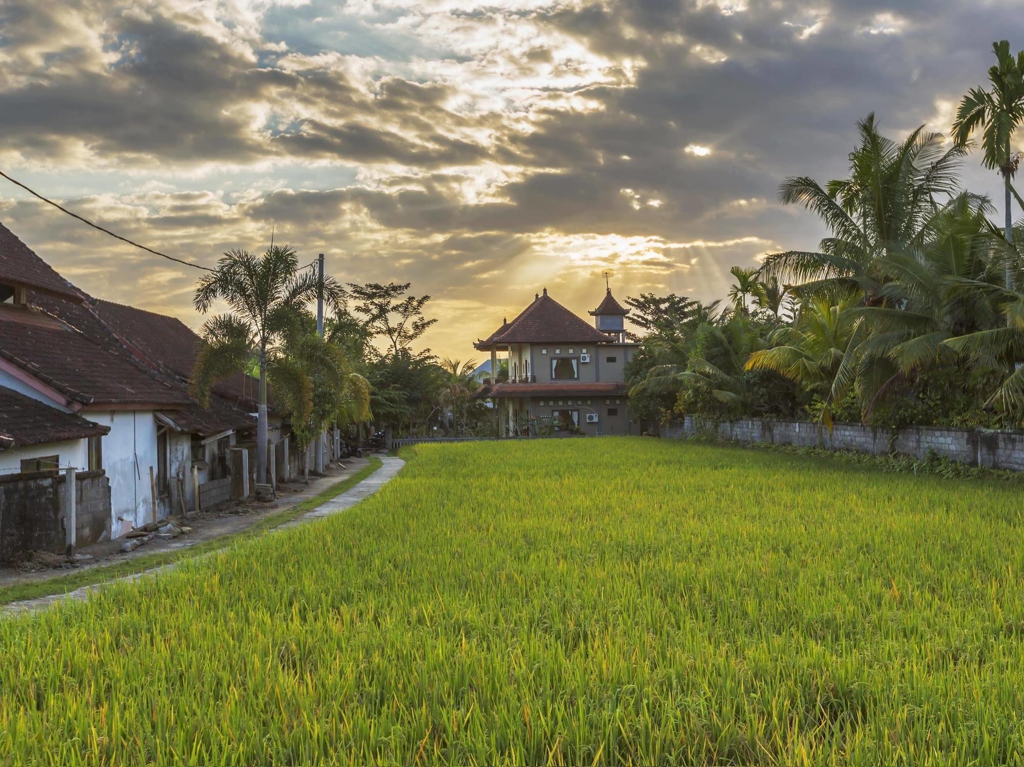 Abipraya Ubud Eksteriør bilde